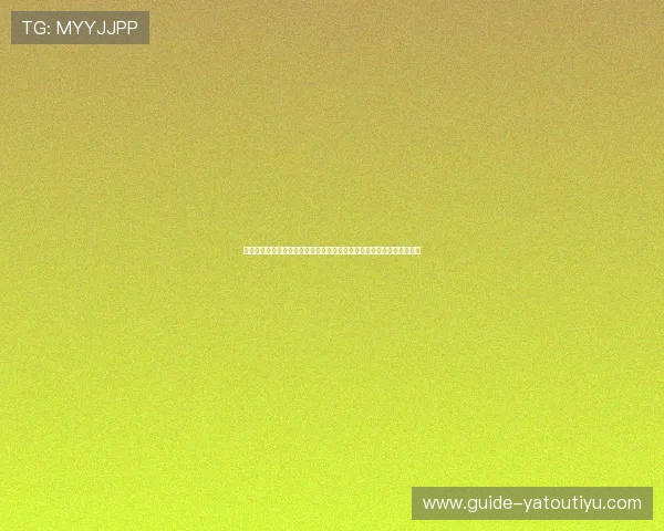 乐鱼体育真人手机版支持多设备同步观看世界杯赛事，满足不同用户需求